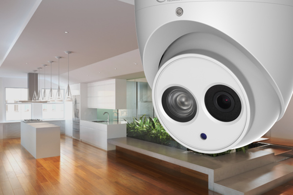 Cameras and Security by tecport